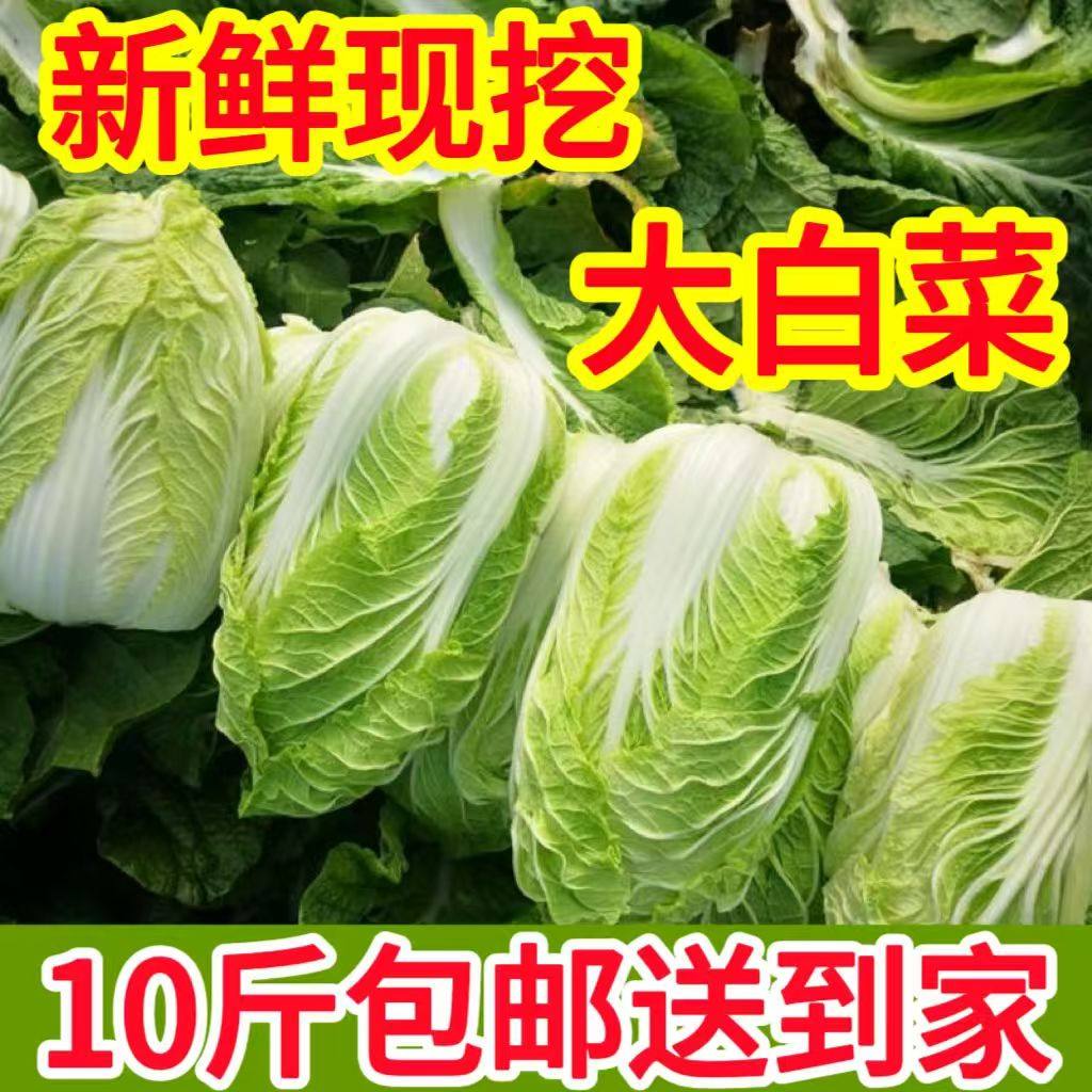 陕西新鲜大白菜新鲜蔬菜类农家青菜应季蔬菜叶菜类批发,水产肉类/新鲜蔬果/熟食,叶菜类,淘宝优惠券,粉丝福利购,淘宝优惠卷