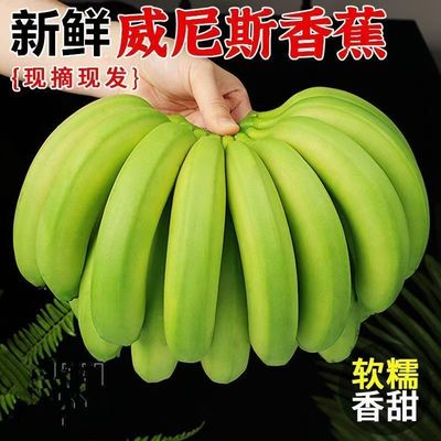 广西正宗高山甜香蕉绿皮香蕉青皮自然熟热带新鲜水果香甜现砍现发