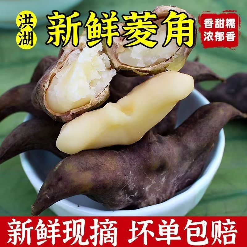 洪湖菱角新鲜老菱角带壳当季水果蔬菜粉糯生菱角黑凌角大菱角