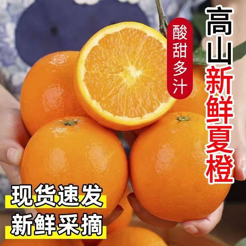 广西桂林新鲜夏橙当季阳朔夏橙5斤大果现摘现发多汁加蜜夏橙