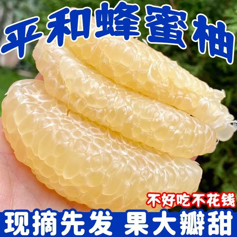 正宗福建平和白心蜜柚琯溪蜜柚9斤当季新鲜水果现摘白肉柚子整箱