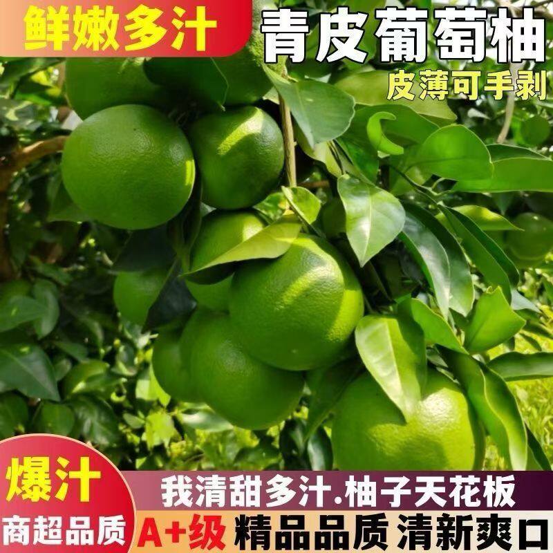 平和青皮葡萄柚福建翡翠葡萄柚当季水果整件包邮水果青皮柚子