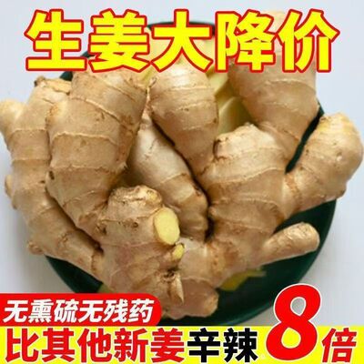 新姜云南文山小黄姜新鲜生姜现挖老姜5斤土姜农家鲜姜包邮10斤
