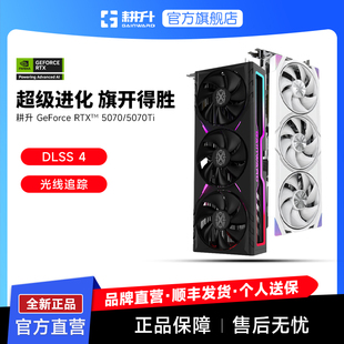 5070Ti追風 5070 RTX 4游戲獨立顯卡 炫光OC DLSS 踏雪 耕升