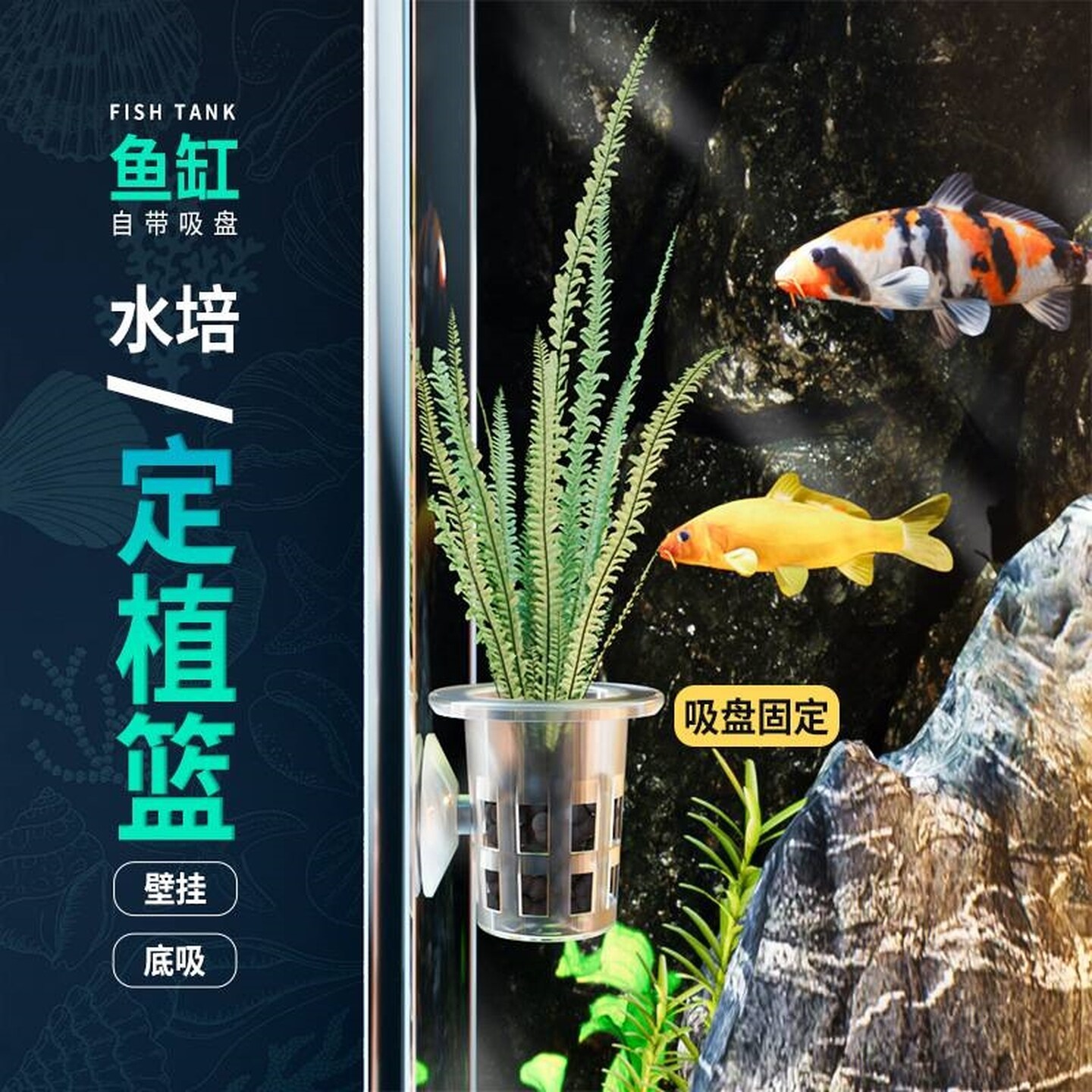 龟缸定植篮水草植物固根器造景装饰鱼缸水草篮水培定植吸盘固定杯