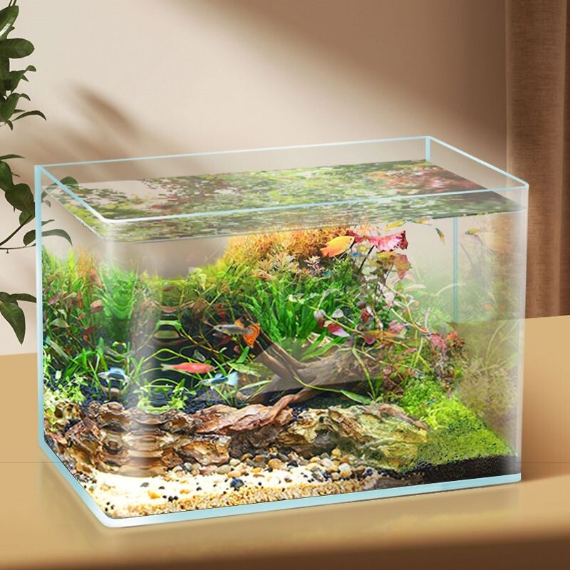 玻璃鱼缸长方形鱼缸水族箱玻璃透明热弯金鱼缸客厅阳台家用造景中