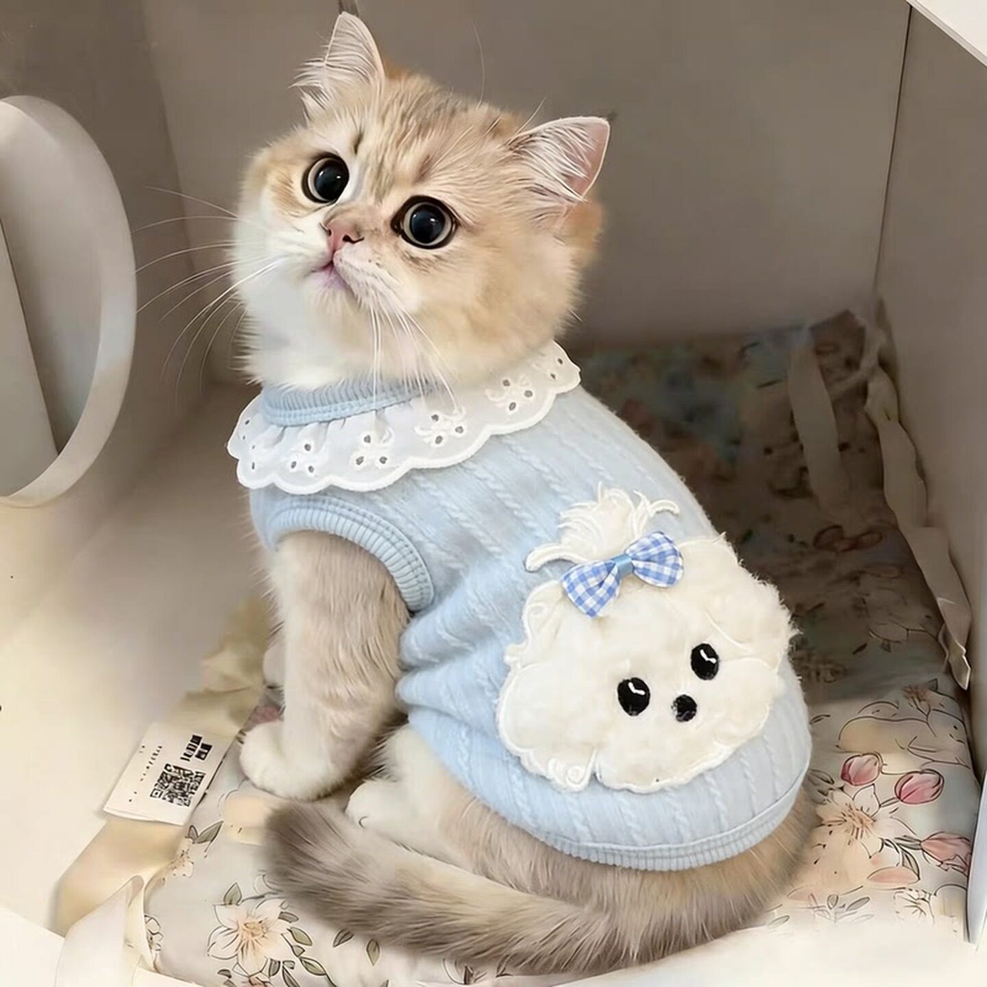 泰迪熊宠物衣服雪纳瑞比熊猫咪小型犬服装可牵引狗狗衣服春秋背心