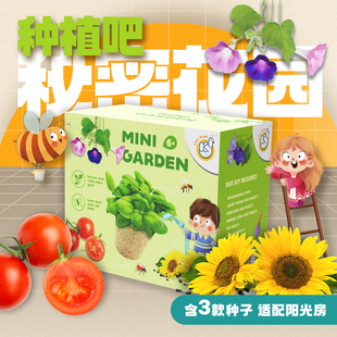 科答鸭种植阳光房儿童玩具小学生科学实验套装 创意手工diy材料包