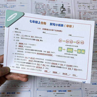 新版国一上册小四门政史