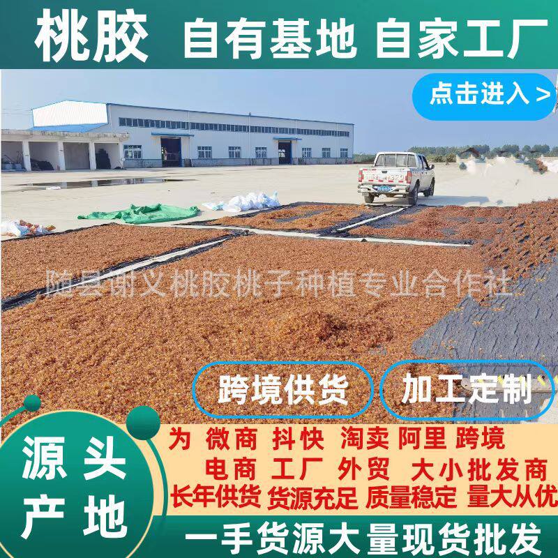 桃膠桃胶拉丝雪燕皂角米雪莲子湖北随县基地一手货源现货