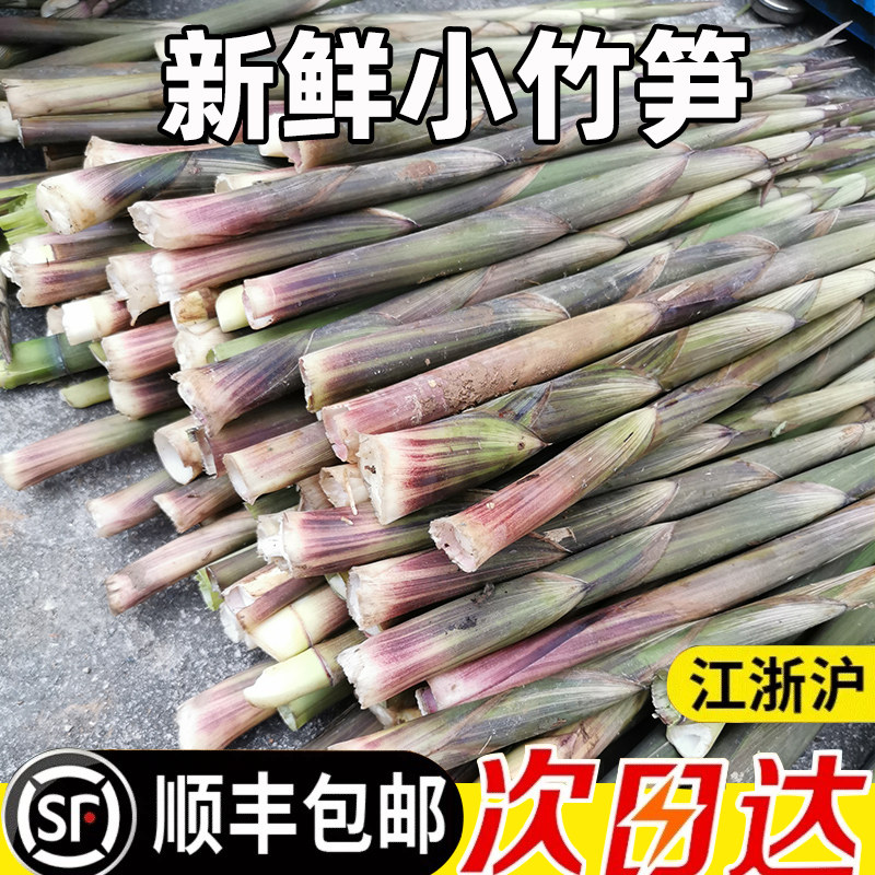 顺丰】野生小竹笋5斤新鲜带壳手剥江西春笋现挖竹笋蔬菜脆嫩小笋