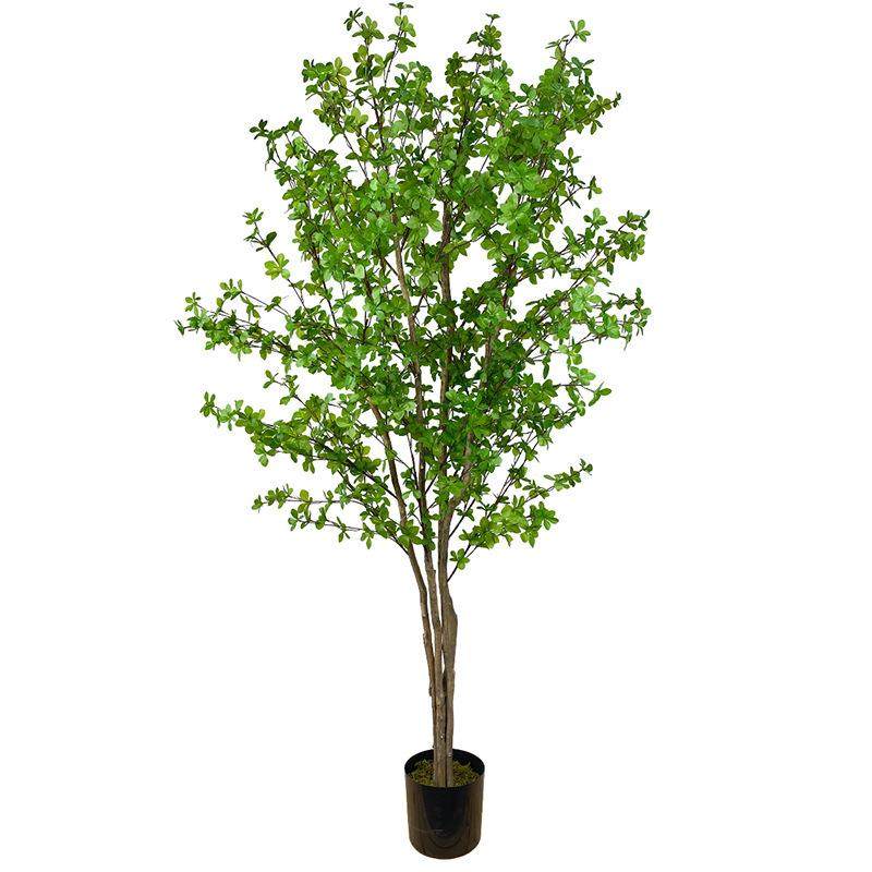 仿真树吊钟树马醉木盆景绿植盆栽摆件落地假植物客厅假树真,鲜花速递/花卉仿真/绿植园艺,仿真绿植,淘宝优惠券,粉丝福利购,淘宝优惠卷