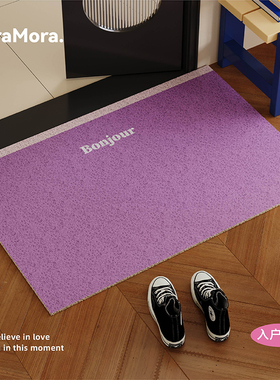 韩式紫色简约入户门地垫丝圈防滑耐脏脚垫玄关门口进门地毯可裁剪