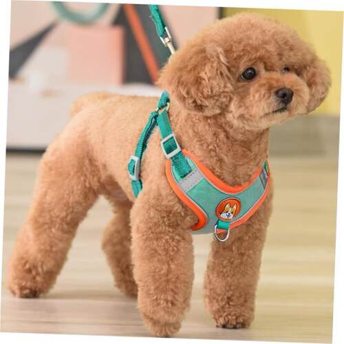 Dog Harness Dogs Leashs Mesh Chest Strap Supplies Adjustable