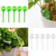 Automatic Plastic Plant Feeder 5pcs Watering Water Self Ball