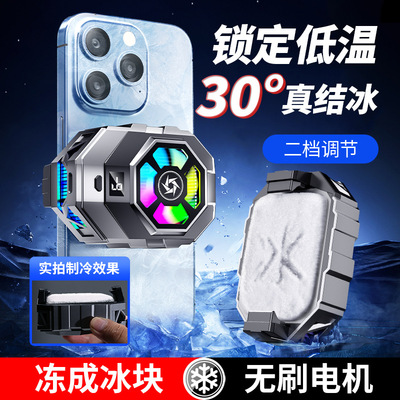 18W大功率/数显两档/半导体制冷