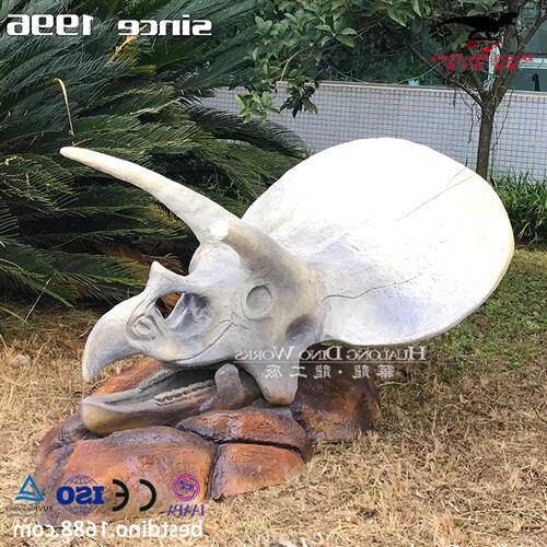 仿真恐龙玻璃钢模型制作工厂三角龙头骨化石骨架科普展览收藏