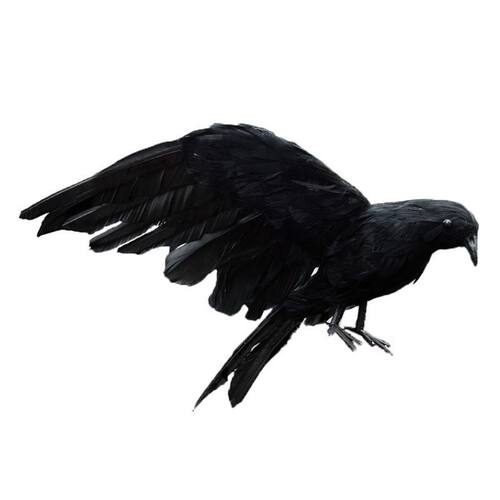 1PCS Halloween Prop Feathers Crow Bird Large Spreading