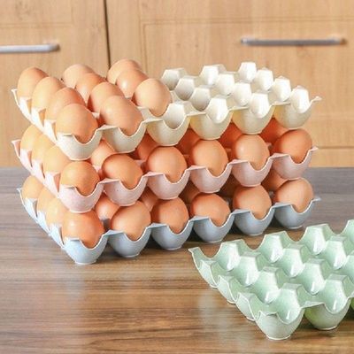 24 Grid Egg Box Wadah Organizer Penyimpanan Case Pemegang