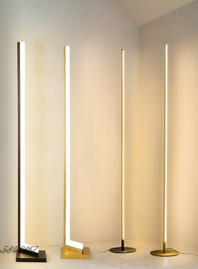 Modern Minimalist Floor Lamp LED Floor Lights Lighting for L