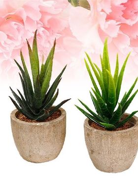 Succulent Simulation Pot Simulated Landscape Potted