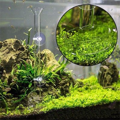 6 Sizes Glass Aquarium Feeder Tube Dish Transparent Fish