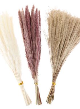 60Pcs Artificial Reeds Adornment House Dried Reeds