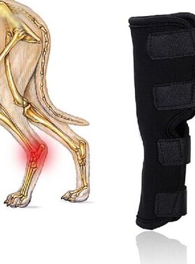 Pet Leg Care for Hind Leg Hock Joint Wrap 1PC New Dog Knee