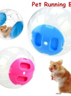 Pet Running Ball Plastic Grounder Jogging Hamster Pet Small