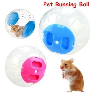 Pet Running Ball Plastic Grounder Jogging Hamster Pet Small