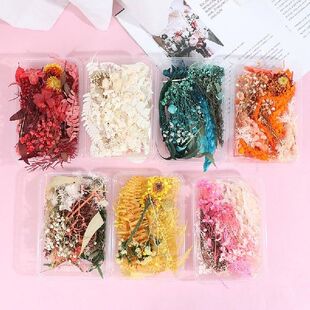 Real Dried Flower Dry Plants For Candle Resin Pendant