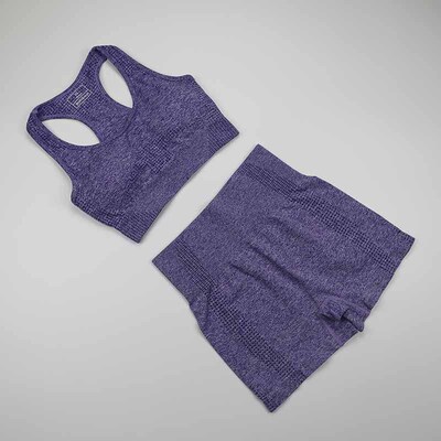 Workout Clothes For Women Seamless Yoga Sports Suits Sport