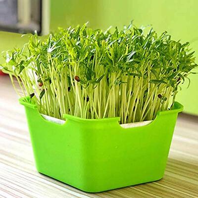 Plant Germination Tray Portable Moisture Proof Planting Box