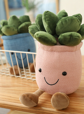 Creative simulation plant doll doll smiling face Succulent