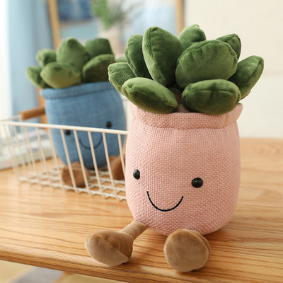Creative simulation plant doll doll smiling face Succulent
