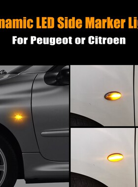 For Peugeot 307 206 207 407 107 607 Citroen C1 C2 C3 C5 LED