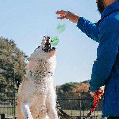 Dog Slow Feeder Ball Durable Dog Slow Feeder Ball Creative