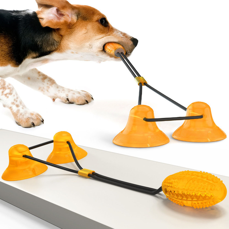 Dog Molar Chew Toy With Double Suction Cups Bite-Resistant B