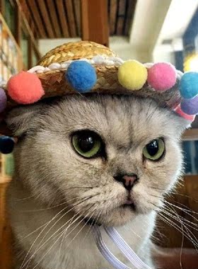 1pc New Fashion Pet Sun Hat Handcrafted Woven Hawaii Style