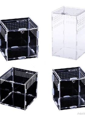 Casing Pembiakan Serangga Kotak Makan Transparan Reptil