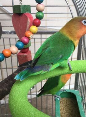 Parrot Perch Bird Stand Wooden U Shape Nail Perches Claw