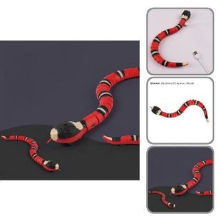 Educational Snake Toy Novelty Cognitive Ability Robotic