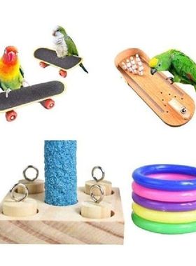 Mainan Kunyah Edukasi untuk Latihan Burung Skateboard