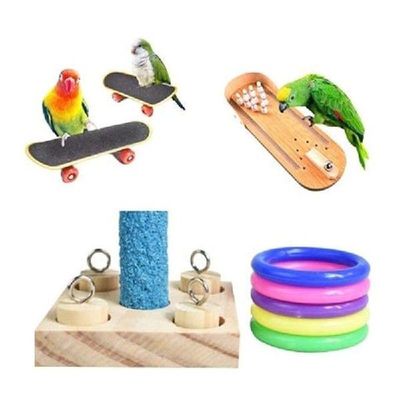 Mainan Kunyah Edukasi untuk Latihan Burung Skateboard