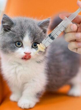 Pet Syringe Pet Feeding Syringe Medicine Dropper SyringePet