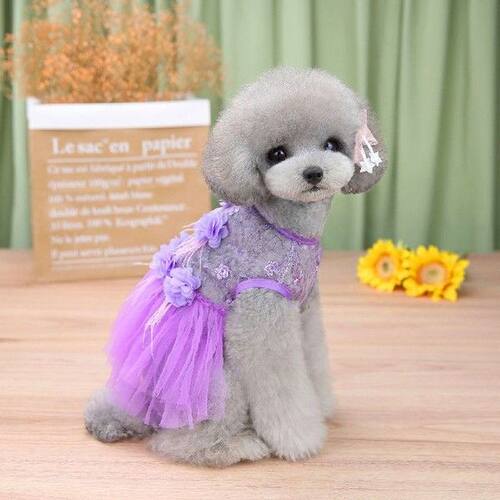 Pet Dog Dress Fashion Lace Bottoming Rose Flower Print