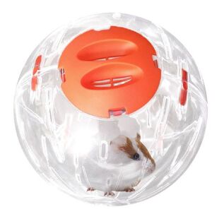 Hamster Breathable Clear Ball Without Bracket Hamster Toy