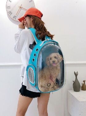 Tas Ransel Pembawa Ruang Perjalanan Anak Anjing Kucing