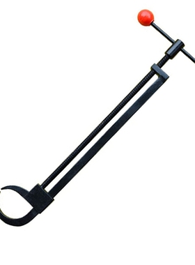 38x27cm Special Bonsai Take Curved Br-anches Deformed