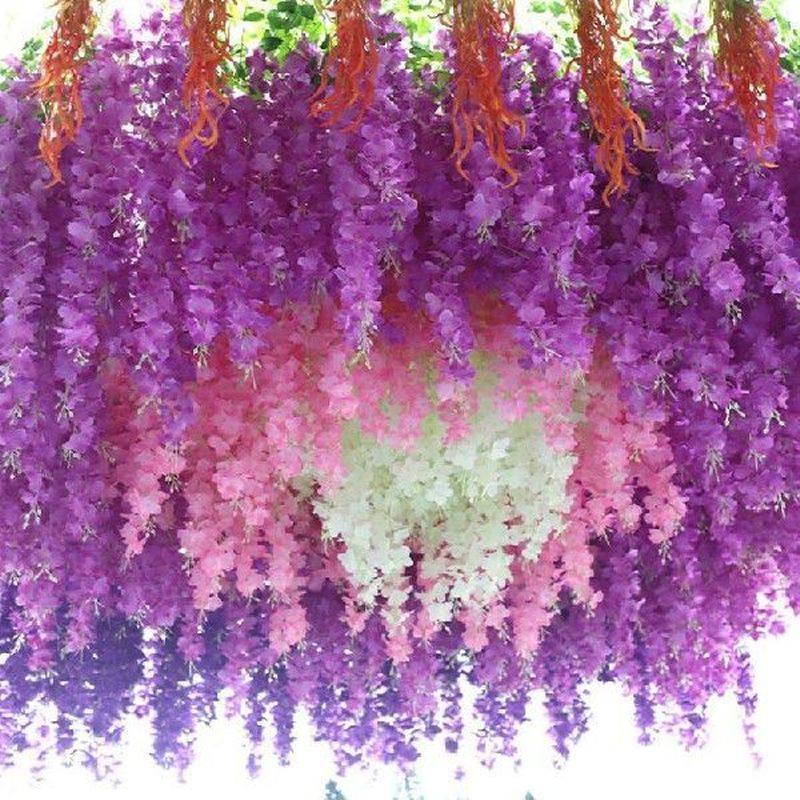 wisteria flowers string vine with green for home wedding